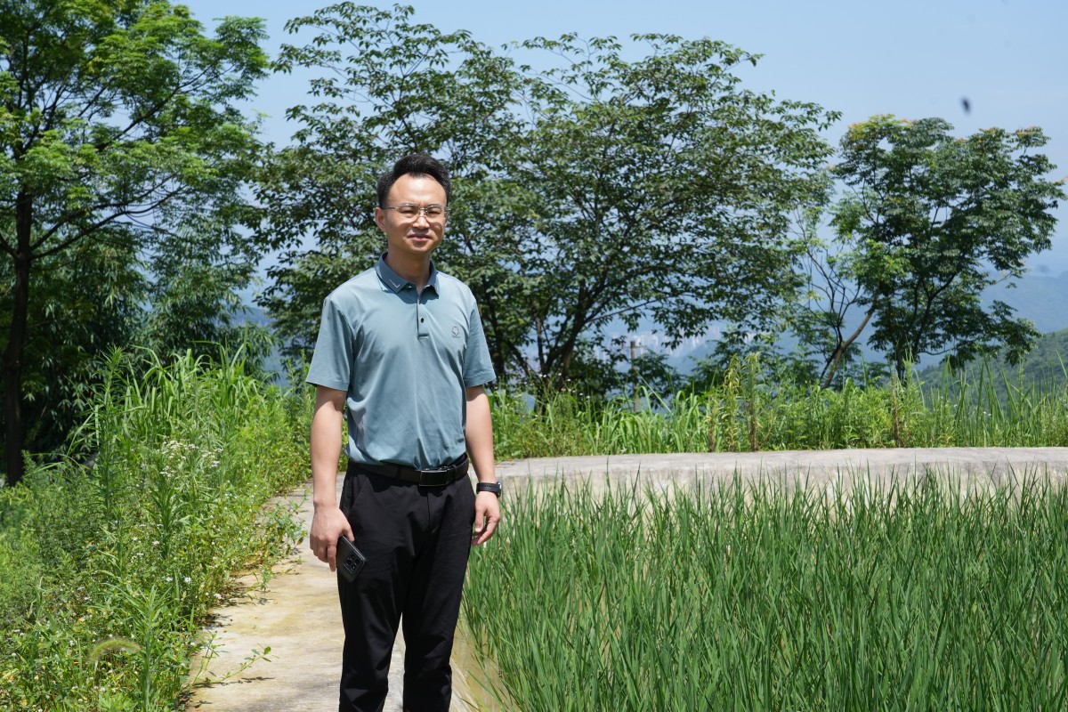 稻香魚(yú)肥好“豐”景?拓寬農(nóng)旅融合增收路